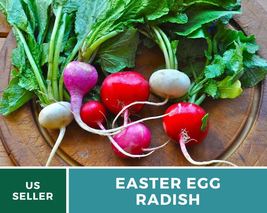 Easter egg radish 1 thumb200
