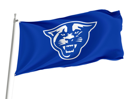 Georgia State Panthers  NCAAF Flag,Size -3x5Ft / 90x150cm, Garden flags - £23.35 GBP