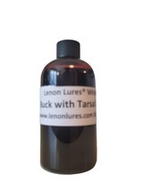 Whitetail Buck Urine with Tarsal 8 oz Trusted by Hunters Everywhere Sinc... - £15.69 GBP