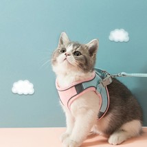 Luminous Escape-Proof Cat Vest - Harness and Leash Set - $20.97