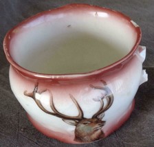Antique China Cup - Buck Transfer Gorgeous Old Collectible - No Handle - Germany - £7.93 GBP
