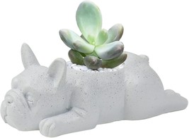 The Ctpeng Small Dog Resin Plant Pot, French Bulldog Succulent Planter, White - £21.32 GBP