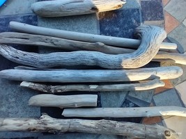 Driftwood Pieces Lots Aquarium Natural Lake Erie freshwater Beach Decor - $9.78+