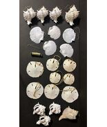 Vintage Natural Sea Shells W/ Glitter 21 Christmas Ornaments Sand Dollar... - $704.02 MXN