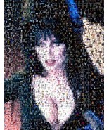 Amazing Elvira Mistress of the Night Monster Montage - £9.05 GBP