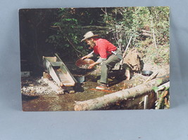 Vintage Postcard - Gold Panning British Columbia Canada - Lakeside Color Prod - £11.99 GBP
