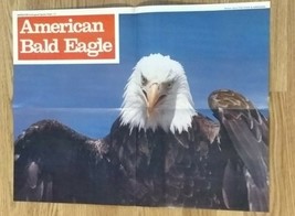 Vintage 1975 American Bald Eagle Poster National Audubon Society  - $554.66 MXN