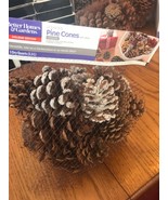 Large Cinnamon Scented Pinecones Party Living Room Decor Ships N 24h - $16.81