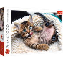 1000 Piece Jigsaw Puzzles, Cheerful Kitten, Puzzle of Animals, Cats, Kittens - $679.83 MXN