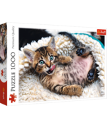 1000 Piece Jigsaw Puzzles, Cheerful Kitten, Puzzle of Animals, Cats, Kit... - €31,37 EUR