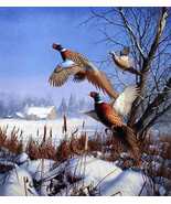 Pheasents In Flight Cross Stitch Pattern DMC DIY NeedleWork****L@@K*** - $2.95