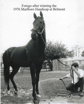 1976 - FOREGO after winning the Marlboro Cup at Belmont Park - 8&quot; x 10&quot; - $20.00