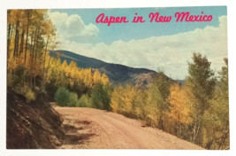 Aspen Trees in New Mexico Autumn Fall Foliage NM UNP Petley Postcard c1960s - £4.47 GBP