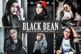 Black bean pro lightroom presets thumb200