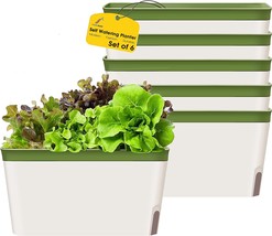 Gardenbasix Self Watering Planter Pots Window Box For Indoor Plants, Rectangle) - £37.65 GBP