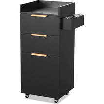 Salon Trolley Cart with Wheels, 1 Storage Cabinet &amp; 2 Drawers, Hair Cart... - €127,51 EUR