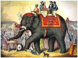 4492.Elephant in circus walking over man.POSTER.decor Home Office art - £13.44 GBP+