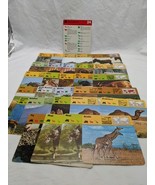 Lot Of (29) 1975 Rencontre Mammals IV Education Cards - $367.57 MXN