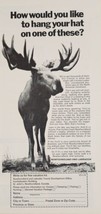 1968 Print Ad Newfoundland &amp; Labrador Tourist Development Canada Bull Moose - $16.72