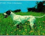 Pointer Dog Greetings From Wisconsin WI UNP Chrome Postcard C14 - £2.29 GBP