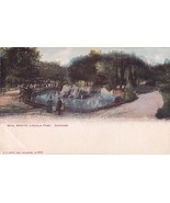 CHICAGO Illinois IL Seal Grotto LINCOLN PARK Zoo Scene UDB Postcard E14 - $2.96