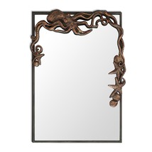 SPI Home Cast Iron Frame Octopus Rectangular Mirror 29 X 20 - $192.06