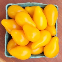 Lwstore Beams Yellow Pear Tomato 12 Seeds Usps Shipping - $8.42