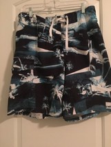 1pc Joe Boxer Men&#39;s Board Shorts Attached Brief Liner Size Large  - $45.59