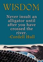 Wisdom by Cordell Hull - Art Print - £17.57 GBP+