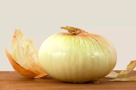 Berynita Store 250 Treated Vidalia Sweet Onion Seeds Non-Gmo Heirloom - £8.80 GBP