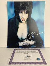 ELVIRA (Cassandra Peterson) signed Autographed 8x10 glossy photo - AUTO with COA - £37.85 GBP