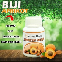 Natural Herbs 100% Apricot Seeds Weight Loss Fibroid Cyst Vitamin 30 Cap... - $36.85