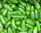 100 Seeds Jalapeno Hot Pepper Seeds Organic Vegetable Summer Garden Pati... - $8.99