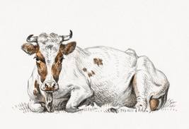 13076.Wall Decor Poster.Oriental home design.Jean Bernard drawing.Lying Cow - £12.94 GBP+