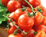 100 Seeds Cherry Tomato Seeds Organic Heirloom Vegetable Garden Patio Co... - $8.99