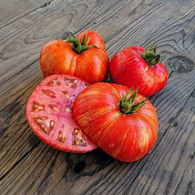 50 + Seeds  Beauty King Tomato Juicy Tomatoe Vegetable Garden Edible Foo... - £6.91 GBP