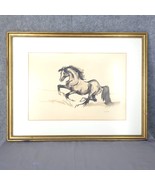 Hector Beas EL Potro (The Colt) Ink on Paper, Framed, Signed Painting Ar... - $290.25