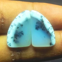 Dendrite Opal Pair Cabochon Loose Gemstone Pair Semi Precious For Jewelr... - $562.41 MXN