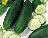 Straight Eight Cucumber Seeds 50 Seeds Vegetable Garden Non-Gmo - £7.20 GBP