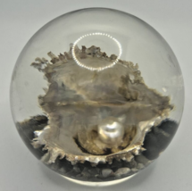 Vintage Paper Weight Pearl Clam Shell U258/20 - £39.86 GBP