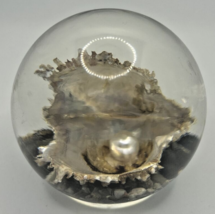 Vintage Paper Weight Pearl Clam Shell U258/20 - £39.61 GBP