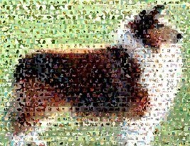 Amazing Collie Dog Montage Limited Edition with COA - £9.05 GBP