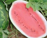 All Sweet  Watermelon Seeds 25 Seeds Non-Gmo Fast Shipping - $7.99