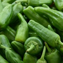 Padron pepper seeds-pimiento de padron-heirloom seeds-spanish tapas peppers - $2.50