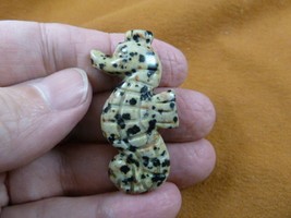(Y-SEAH-571) little spotted Seahorse sea GEM gemstone carving aquarium h... - $14.01