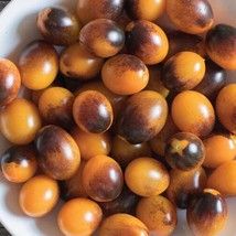 Indigo Kumquat Tomato Seeds Grower Organic New Fresh Seeds USA - $7.50