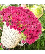 In Rose Red, 24 Bundles Silk Artificial Flowers Outdoor Uv Resistant False - $52.09 CAD