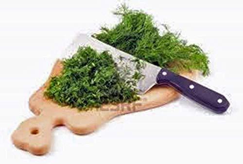 Dill Seed, Mammoth Long Island, Heirloom, Non GMO, 50 Seeds, Herb Fresh or Dried