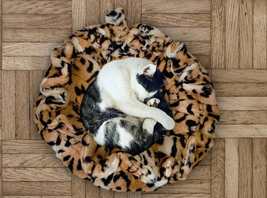 ? Handcrafted Lily Pod - Snuggle Haven Cat Bed ? - £33.75 GBP