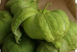 100 Tomatillo - Toma Verde Seeds - £7.18 GBP
